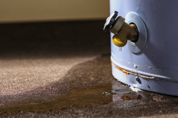 Best Water damage cleanup near me  in Bloomfield, IA
