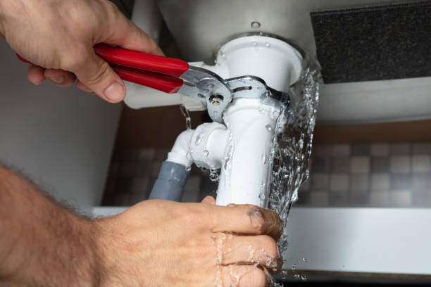 Best Water damage contractors near me  in Bloomfield, IA