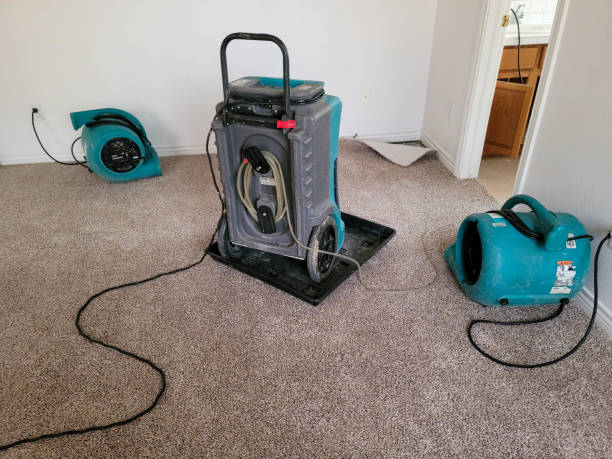 Best Water damage restoration company  in Bloomfield, IA