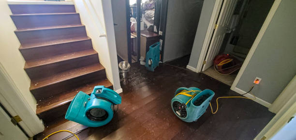  Bloomfield, IA Water damage restoration Pros