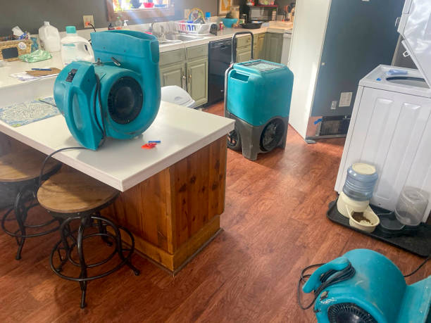 Best Emergency water damage restoration  in Bloomfield, IA