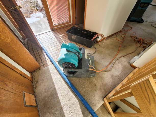 Best Commercial water damage restoration  in Bloomfield, IA
