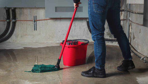 Best 24/7 water damage repair  in Bloomfield, IA