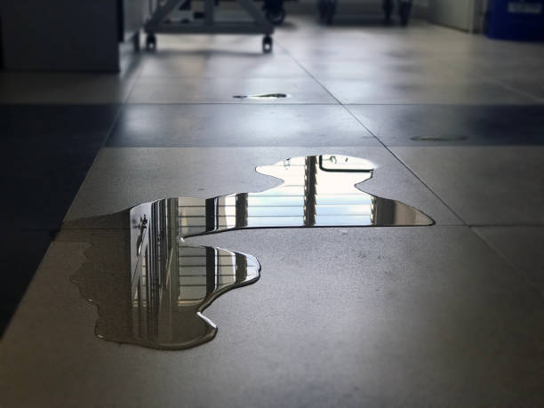 Best Professional water damage repair  in Bloomfield, IA