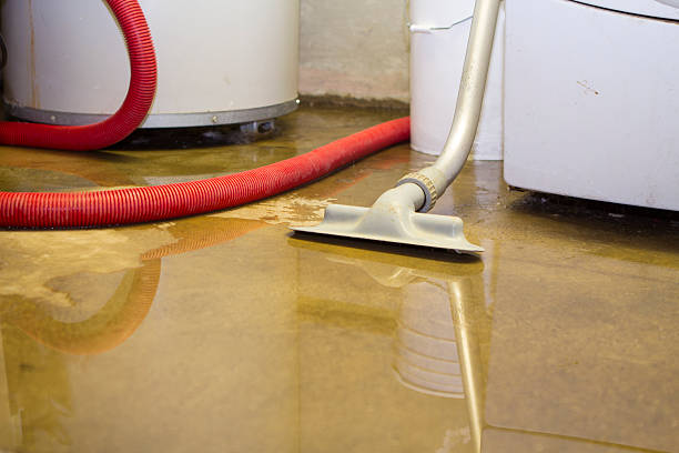 Best Water damage restoration near me  in Bloomfield, IA