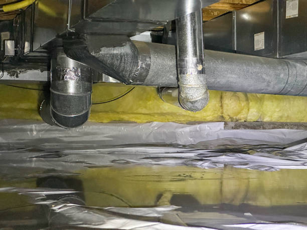 Best Fire Damage Restoration  in Bloomfield, IA