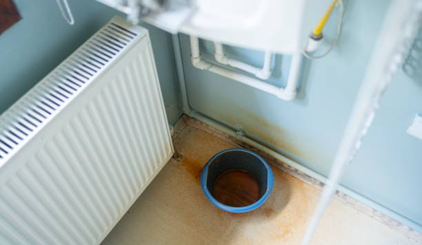 Best Ceiling water damage repair  in Bloomfield, IA