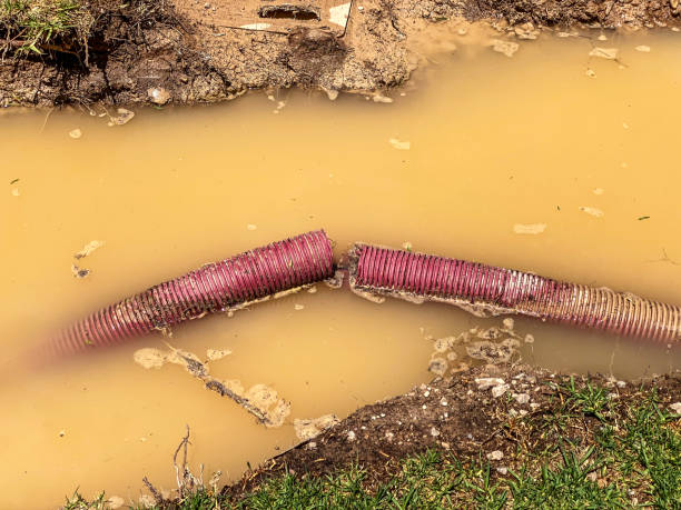 Best Carpet water damage restoration  in Bloomfield, IA