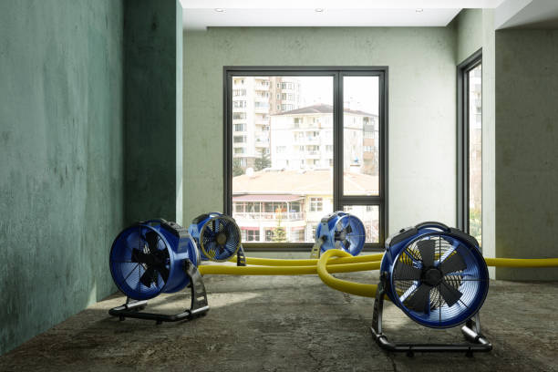 Best Emergency water damage restoration  in Bloomfield, IA